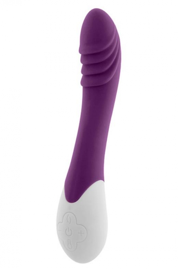 Phoenix Vibrator Purple
